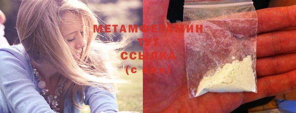 индика Елабуга