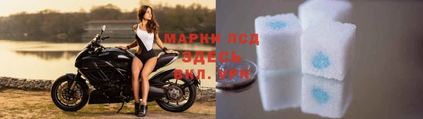 крисы Алзамай