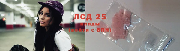 крисы Алзамай