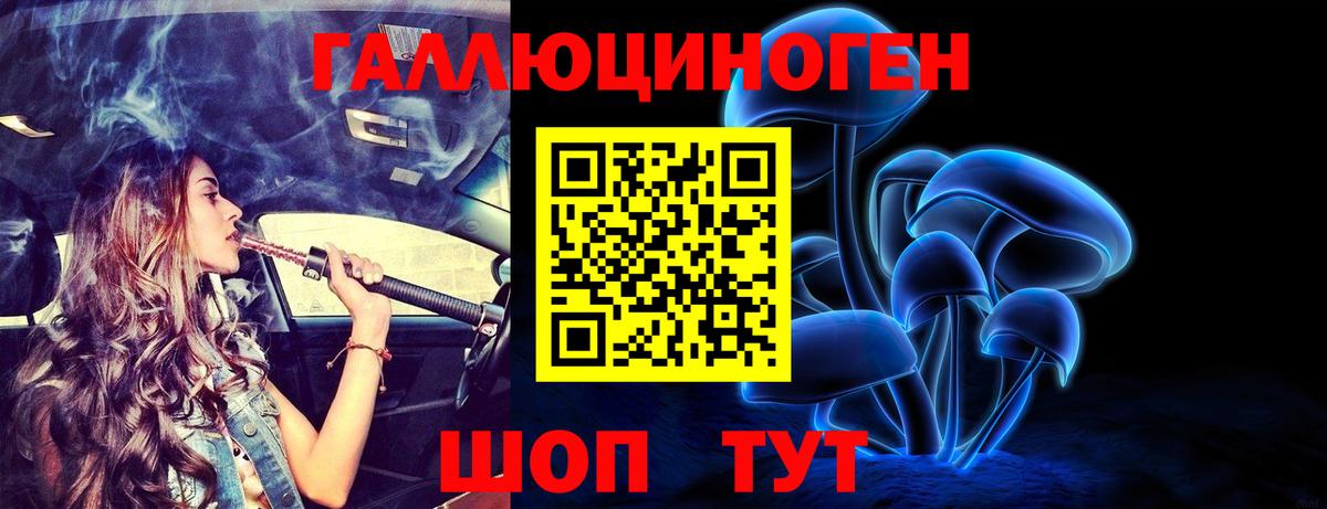 Курган  Псилоцибиновые грибы Psilocybe  Вход с VPN 