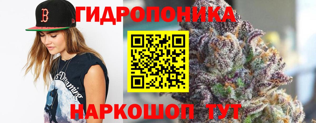 Канабис конопля Курган